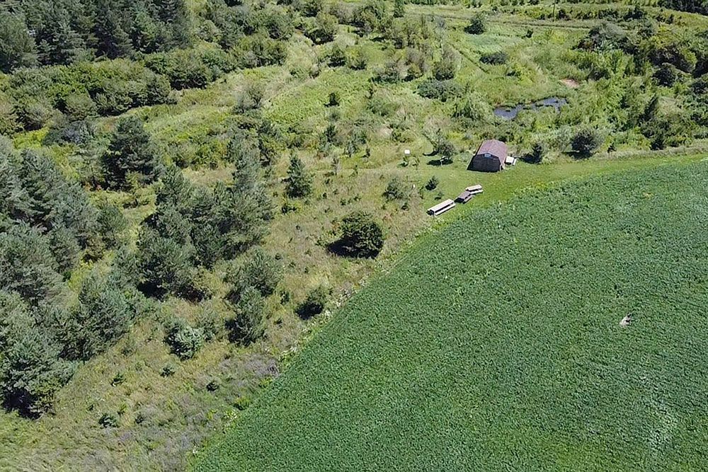 An aerial view of McLarty Environmental Study Area.