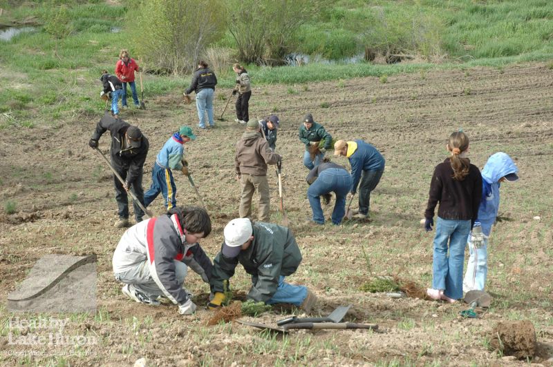 4H Planting
